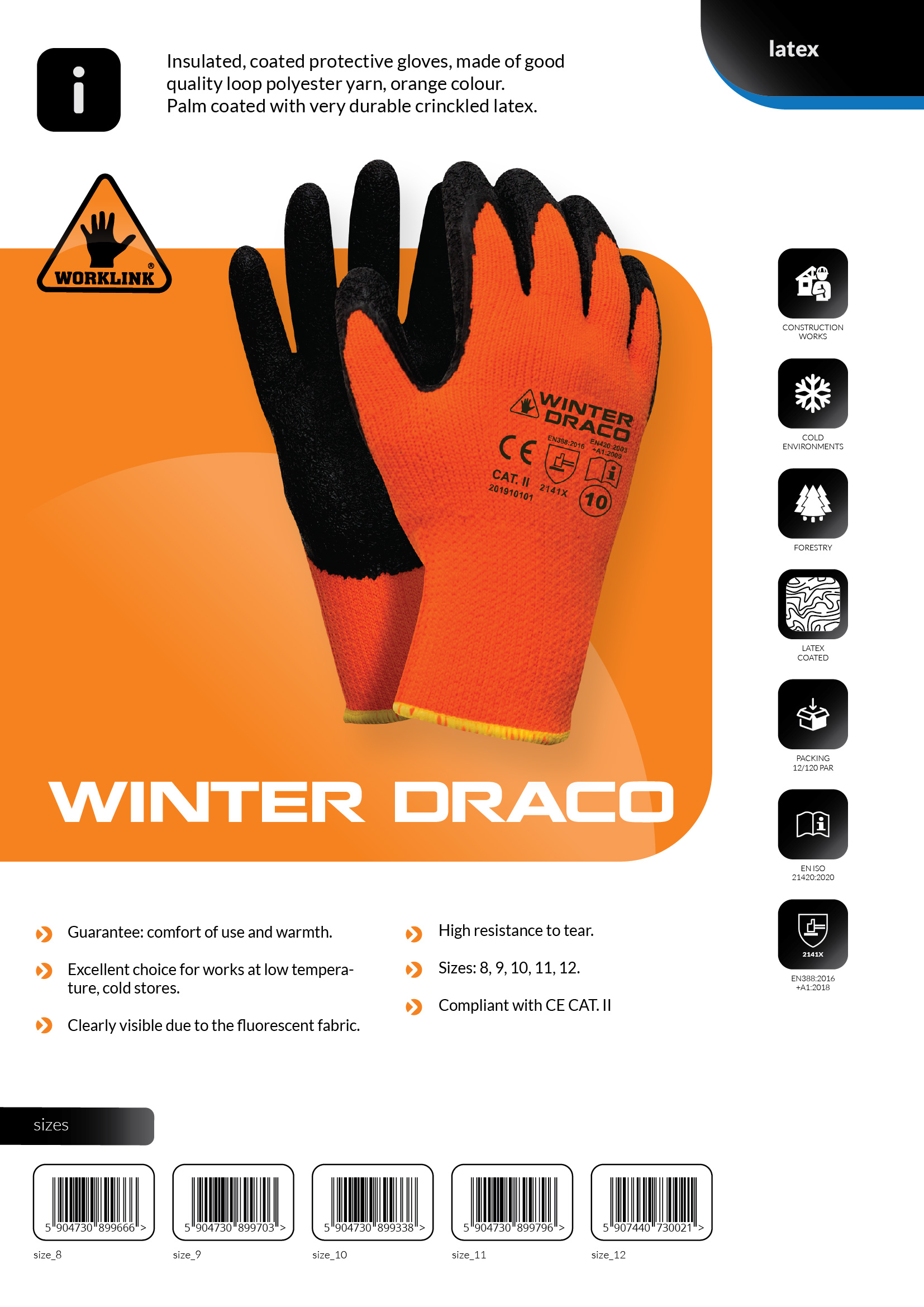 Winter Draco – Image 2
